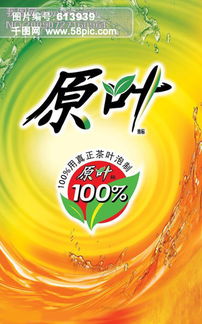 與薰衣草的約會